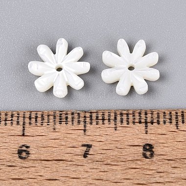Natural Trochus Shell Beads(SHEL-Q028-05)-3