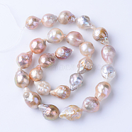 Natural Baroque Pearl Keshi Pearl Beads Strands, Cultured Freshwater Pearl, for DIY Craft Jewelry Making, teardrop, Thistle, 15~17x11~13mm, Hole: 0.5mm, about 25pcs/strand, 15.9 inch(PEAR-S010-34)