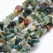 Natural Indian Agate Beads Strands, Chip, 5~8mm, Hole: 1mm, about 33 inch(84cm)(X-G-P332-13)