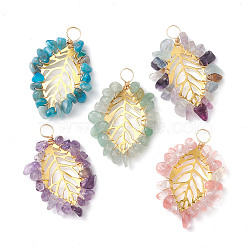 Natural & Synthetic Mixed Gemstone Chip Pendants, Iron Leaf Charms, Golden, 32x21x4mm, Hole: 4mm(PALLOY-JF02571-01)