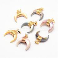 Shell Pendants, Dyed, with Brass Finding, Double Horn/Crescent Moon, Golden, Mixed Color, 28mm, Hole: 4x6mm(BSHE-G004-08B)