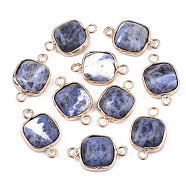 Natural Sodalite Links connectors, with Brass Findings, Square, Golden, 21x13x5~5.5mm, Hole: 2.5mm(G-S344-69E)