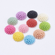 Opaque Resin Cabochons, Flower, Mixed Color, 15x6mm.(X-CRES-R021-M)