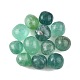 Natural Fluorite Beads(G-G348-01B-50)-1