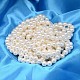Round Shell Pearl Bead Strands(X-BSHE-L011-6mm-A013)-2
