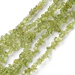 Natural Peridot Beads Strands, Chip, 1.5~4.5x3~13x2.5~8mm, Hole: 0.6mm, 30.94~31.97 inch(78.6~81.2cm)(G-G0003-B27)