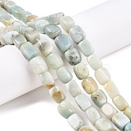 Natural Flower Amazonite Beads Strands, Cuboid, 9~11.5x8~9x8~8.5mm, Hole: 1mm, about 33pcs/strand, 14.76''(37.5cm)(G-T138-89)