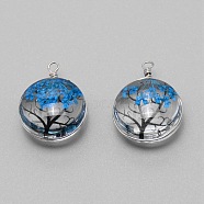 Dried Flower Inside Glass Pendant, with Iron Findings, Flat Round with Tree of Life Pattern, Dodger Blue, 22x16x10mm, about 2pcs/set.(GLAA-WH0031-02B)