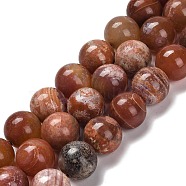 Natural Fire Crackle Agate Beads Strands, Round, Dyed & Heated, FireBrick, 15.5~16mm, Hole: 1.6mm, about 15pcs/strand, 15.35''(39cm)(G-B079-A01-04)