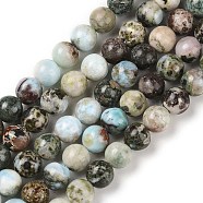 Natural Larimar Beads Strands, Round, 6mm, Hole: 0.7mm, about 62pcs/strand, 15.43''(39.2cm)(G-P524-A02-02)