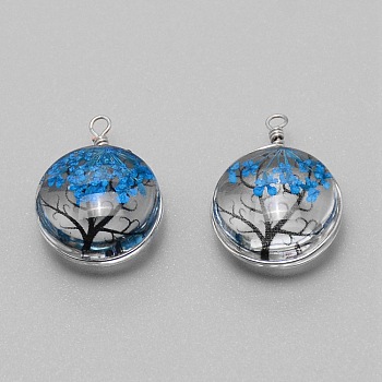 Dried Flower Inside Glass Pendant, with Iron Findings, Flat Round with Tree of Life Pattern, Dodger Blue, 22x16x10mm, about 2pcs/set.