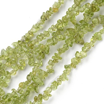 Natural Peridot Beads Strands, Chip, 1.5~4.5x3~13x2.5~8mm, Hole: 0.6mm, 30.94~31.97 inch(78.6~81.2cm)