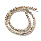 Natural Freshwater Shell Beads Strands(X-SSHEL-B002-15)-2