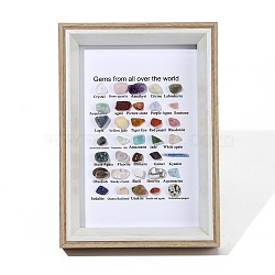 Natural Gemstones Nuggets Collections, Photo Frame Display Decoration, for Earth Science Teaching, 175x125x30mm, Gemstone: 7~12x5~15mm, 35pcs/box(G-F734-08)
