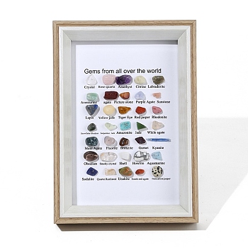 Natural Gemstones Nuggets Collections, Photo Frame Display Decoration, for Earth Science Teaching, 175x125x30mm, Gemstone: 7~12x5~15mm, 35pcs/box