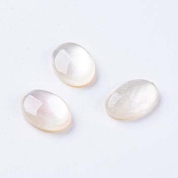 Shell Cabochons, Oval, 18x13x4.5mm