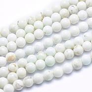 Natural Magnesite Beads Strands, Round, 6mm, Hole: 1mm, about 64pcs/strand, about 15 inch(TURQ-G148-09-6mm)