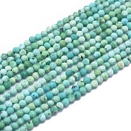 Natural HuBei Turquoise Beads Strands, Faceted, Round, 2mm, Hole: 0.5mm, about 169pcs/strand, 15.7 inch(40cm)(G-G792-38)