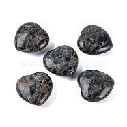 Natural Kambaba Jasper Healing Stones, Heart Love Stones, Pocket Palm Stones for Reiki Ealancing, 30x30x11.5~12.5mm(G-G020-01-02)