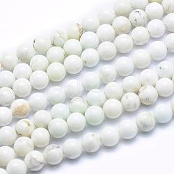 Natural Magnesite Beads Strands, Round, 6mm, Hole: 1mm, about 64pcs/strand, 15.7 inch(40cm)(TURQ-G148-09-6mm)