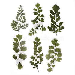 6Pcs Plant PET Adhesive Waterproof Stickers, for DIY Photo Album Diary Scrapbook Decoration, Leaf, Green, 163~200x85~104x0.1mm(DIY-K074-01A)