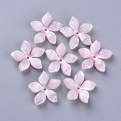 5-Petal Cellulose Acetate(Resin) Bead Caps, Flower, Pink, 20.5~21.5x22~23x4.5mm, Hole: 1.2mm(X-KY-N006-02-B01)