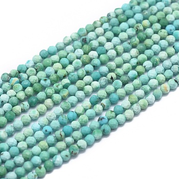 Natural HuBei Turquoise Beads Strands, Faceted, Round, 2mm, Hole: 0.5mm, about 169pcs/strand, 15.7 inch(40cm)