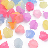 Frosted Acrylic Bead Caps, Flower, Mixed Color, 12x12x9mm, Hole: 1.2mm(X-MACR-S371-10A)