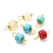 Natural Mixed Gemstone Connector Charms, Column Links with Golden Plated Brass Double Loops, 17x8mm, Hole: 1.8mm & 3.5mm(PALLOY-YW0001-47)