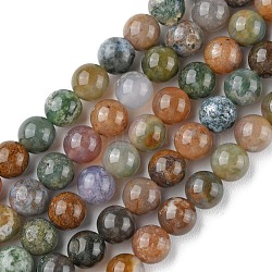 Natural Indian Agate Beads Strands, Round, 8mm, Hole: 0.8mm, about 44~47pcs/strand, 14.80~14.96 inch(37.6~38cm)(G-G0003-C04)