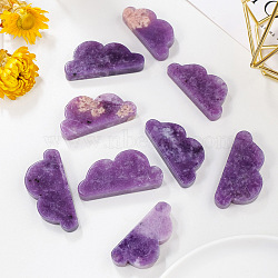 Natural Lepidolite Display Decorations, for Home Office Desk, Cloud, 20~30x35~55mm(G-PW0004-04)