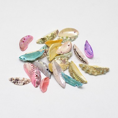 17mm Mixed Color Moon Other Sea Shell Beads