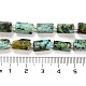 Natural African Turquoise(Jasper) Beads Strands(G-G068-A39-01)-5