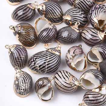 Electroplate Spiral Shell Pendants, with Iron Findings, Golden, Black, 20~35x10~20x10~15mm, Hole: 1~2mm