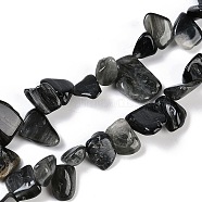 Natural Eagle Eye Stone Nuggets Beads Strands, 7.5~11.5x9~13x4~6.5mm, Hole: 0.8~1mm, about 62~68pcs/strand, 14.96~15.55''(38~39.5cm)(G-B125-A15-01)