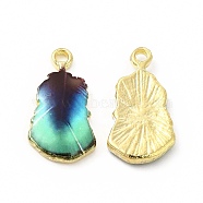 Rack Plating Alloy Pendants, Printed, Lead Free & Cadmium Free & Nickel Free, Leaf Charm, Light Gold, Pale Turquoise, 19x10.5x2.5mm, Hole: 1.6mm(FIND-H043-04LG-02)
