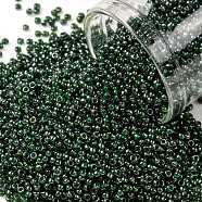 TOHO Round Seed Beads, Japanese Seed Beads, (373) Inside Color Black Diamond/Dk Green, 15/0, 1.5mm, Hole: 0.7mm, about 3000pcs/bottle, 10g/bottle(SEED-JPTR15-0373)