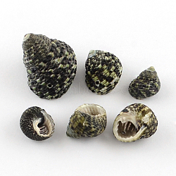 Natural Spiral Shell Beads, Olive Drab, 14~28x12~22x9~20mm, Hole: 1~1.5mm, about 325pcs/500g(SSHEL-R036-29)