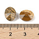 Natural Picture Jasper Cabochons(G-C146-02C)-3