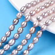 Natural Cultured Freshwater Pearl Beads Strands, Rice, Thistle, 6.5~8.1x4.5~5mm, Hole: 0.7~0.8mm, about 55~56pcs/strand, 13.78 inch(35cm)(PEAR-N012-04O)