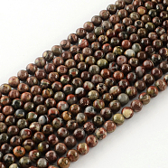 Round Natural Brecciated Jasper Beads Strands, 6mm, Hole: 1mm, about 68pcs/strand, 15.7 inch(G-R339-06)