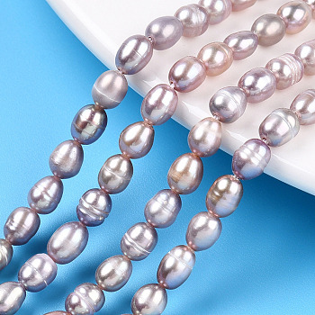Natural Cultured Freshwater Pearl Beads Strands, Rice, Thistle, 6.5~8.1x4.5~5mm, Hole: 0.7~0.8mm, about 55~56pcs/strand, 13.78 inch(35cm)