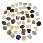 Natural Xiuyan Jade Findings Kits, Mixed Shape, Mixed Shapes, 34.5~62x41~65x4.5~7mm, Hole: 1.6~6.8mm(GG-CBA04B0-02)
