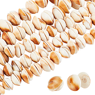 PandaHall Elite 5 Strands  Natural Shell Beads Strands, Half Round, BurlyWood, 8~20x8~20x3~7mm, Hole: 1mm, about 28~54pcs/strand, 6.69 inch~7.09 inch(17~18cm)(SSHEL-PH0001-17)