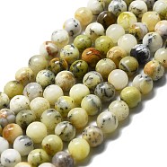 Natural Opal Beads Strands, Round, 8mm, Hole: 1mm, about 45pcs/strand, 14.96''(38cm)(X-G-I356-A03-02)