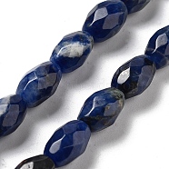 Natural Sodalite Beads Strands, Faceted Rice, 12.5x8mm, Hole: 1.2mm, about 16pcs/strand, 7.68''(19.5cm)(G-P520-C07-01)