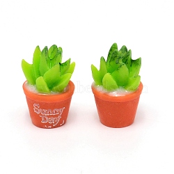 Succulent Resin Display Ornaments, Micro Landscape Garden Dollhouse Accessories Pretending Prop Decorations, Lawn Green, 27.5x18mm(DJEW-WH0034-12)