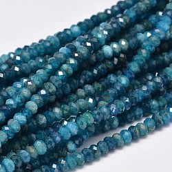 Faceted Rondelle Natural Apatite Bead Strands, 4x3mm, Hole: 1mm, about 156pcs/strand, 15.5 inch(G-F289-48B)