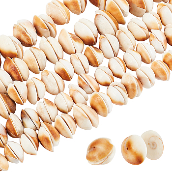 PandaHall Elite 5 Strands  Natural Shell Beads Strands, Half Round, BurlyWood, 8~20x8~20x3~7mm, Hole: 1mm, about 28~54pcs/strand, 6.69 inch~7.09 inch(17~18cm)