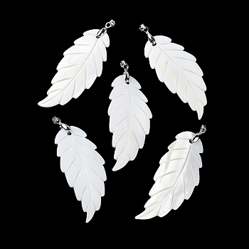 Natural Freshwater Shell Big Pendants, Leaf Charms with Platinum Plated Brass Pinch Bails, White, 60~62x26~26.5x2.5~3mm, Hole: 5x4mm